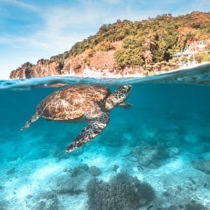 Dive Trip 2D/1N (El Nido)